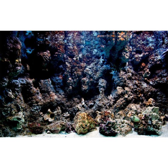 Autocolant Acvariu Coral Reef