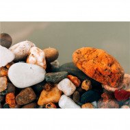 Autocolant Acvariu Lot of Stones