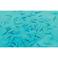 Autocolant Acvariu Many Fishes in the Sea