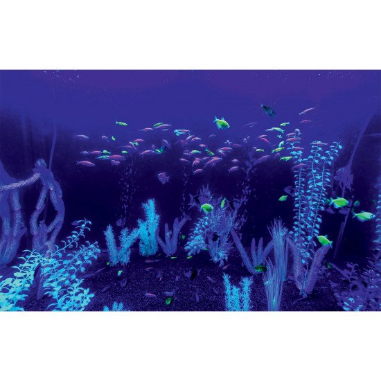 Autocolant Acvariu Neon Glow Fish