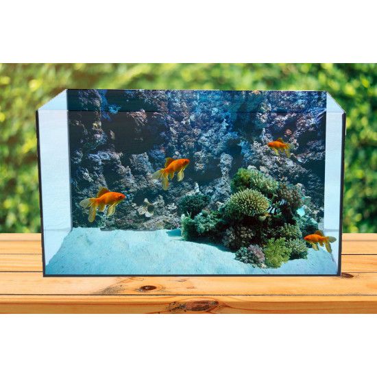 Autocolant Acvariu Coral Reef