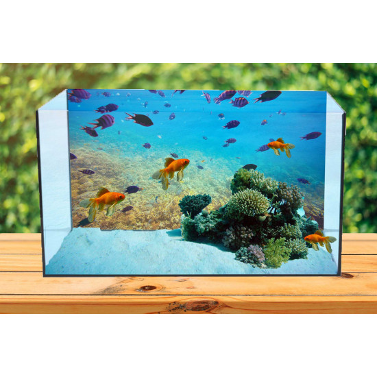 Autocolant Acvariu Coral and Fish