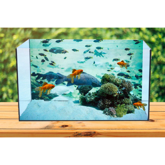 Autocolant Acvariu Fishes Swimming in the Sea Water
