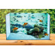 Autocolant Acvariu Fishes Swimming in the Sea Water
