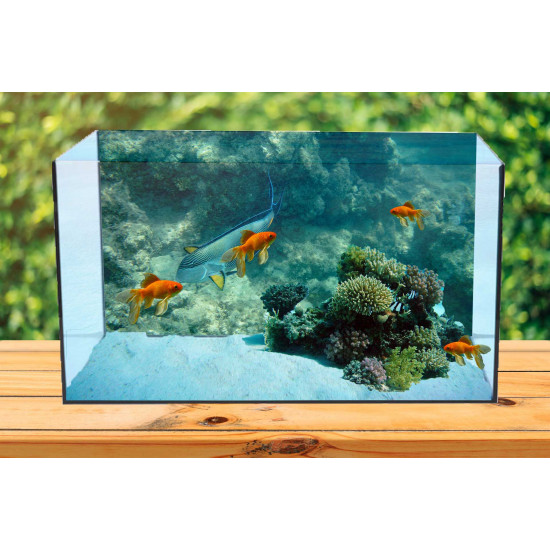 Autocolant Acvariu Sea Fish Near Coral