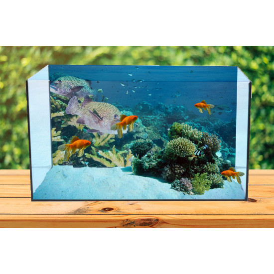 Autocolant Acvariu Tropical Fish Over Coral