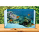 Autocolant Acvariu Tropical Fish Over Coral