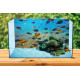 Autocolant Acvariu Tropical Fishes at Coral Reef Area