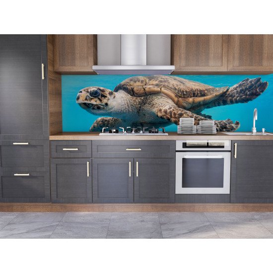 Autocolant bucatarie Turtle