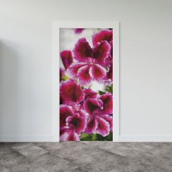 Autocolant usa Geraniums
