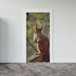 Autocolant usa Squirrel