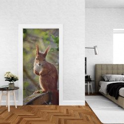 Autocolant usa Squirrel