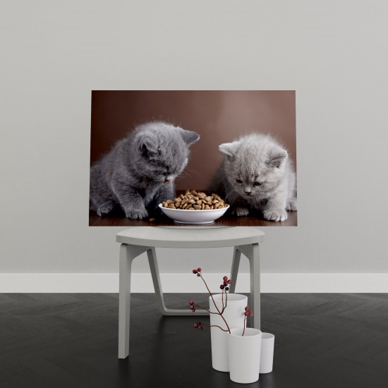Tablou Canvas Two Cats Eating