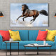 Tablou Canvas Bay Horse in Snow