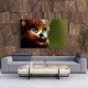 Tablou Canvas Cat Doll