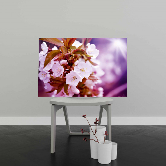 Tablou Canvas Cherry Blossoms Tablou Canvas Cherry Blossoms