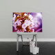 Tablou Canvas Cherry Blossoms Tablou Canvas Cherry Blossoms