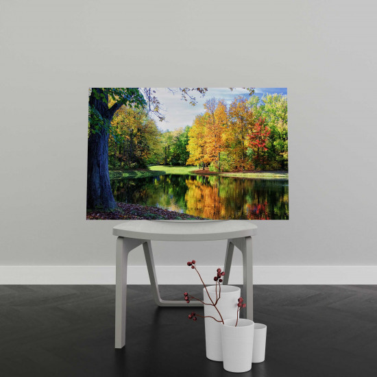 Tablou Canvas Colorful Trees Reflections