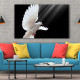 Tablou Canvas Dove in Flight
