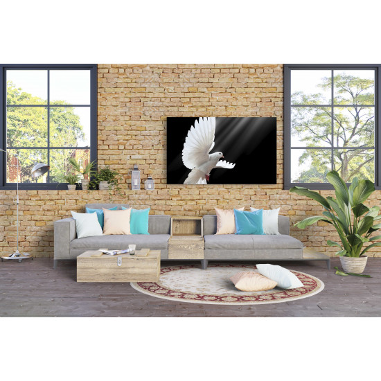 Tablou Canvas Dove in Flight