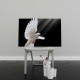 Tablou Canvas Dove in Flight