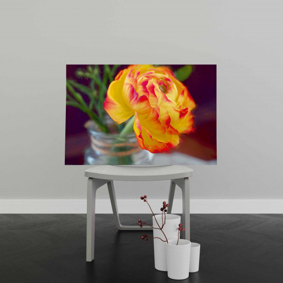 Tablou Canvas Ranunculus Flower