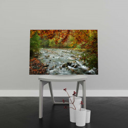 Tablou Canvas River in Autumn