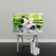 Tablou Canvas Spa Stones and White Orchid Tablou Canvas Spa Stones and White Orchid
