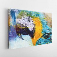 Tablou Canvas Blue Parrot