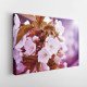 Tablou Canvas Cherry Blossoms Tablou Canvas Cherry Blossoms