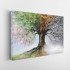 Tablou Canvas Four Season Tree