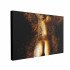 Tablou Canvas Gold Magic Dream
