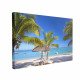 Tablou Canvas Mauritius Palm Beach Tablou Canvas Mauritius Palm Beach