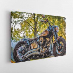 Tablou Canvas Motorcycle Harley Davidson