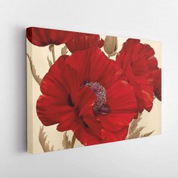 Tablou Canvas Poppy Dance