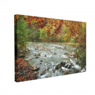 Tablou Canvas River in Autumn