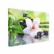 Tablou Canvas Spa Stones and White Orchid Tablou Canvas Spa Stones and White Orchid