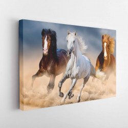 Tablou Canvas Three Horse in Desert