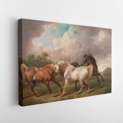 Tablou Canvas Three Horses in a Stormy Landscape by Charles Towne