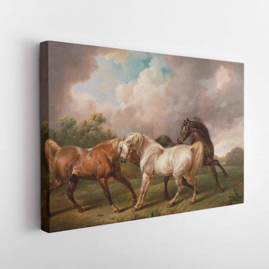 Tablou Canvas Three Horses in a Stormy Landscape by Charles Towne