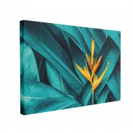 Tablou Canvas Tropical Flower