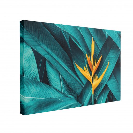 Tablou Canvas Tropical Flower