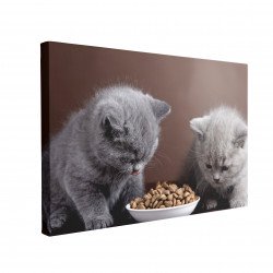 Tablou Canvas Two Cats Eating
