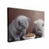 Tablou Canvas Two Cats Eating