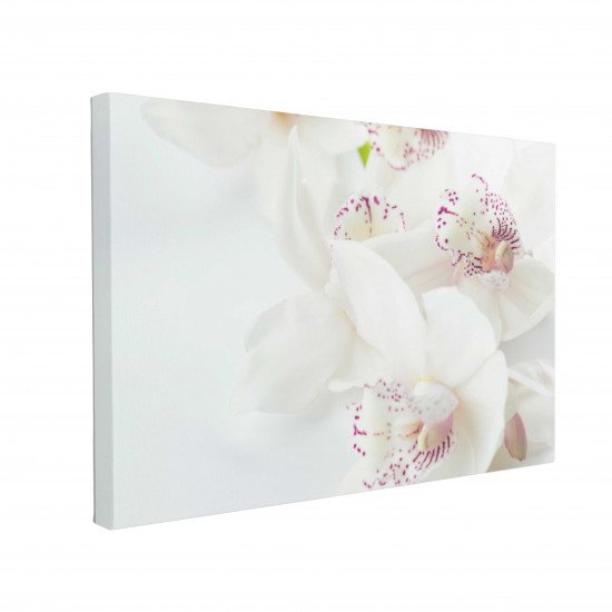 Tablou Canvas White Orchids with Purple