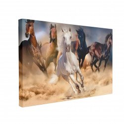 Tablou Canvas Wild Horses