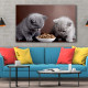 Tablou Canvas Two Cats Eating