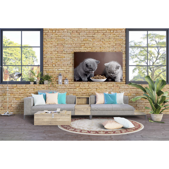 Tablou Canvas Two Cats Eating