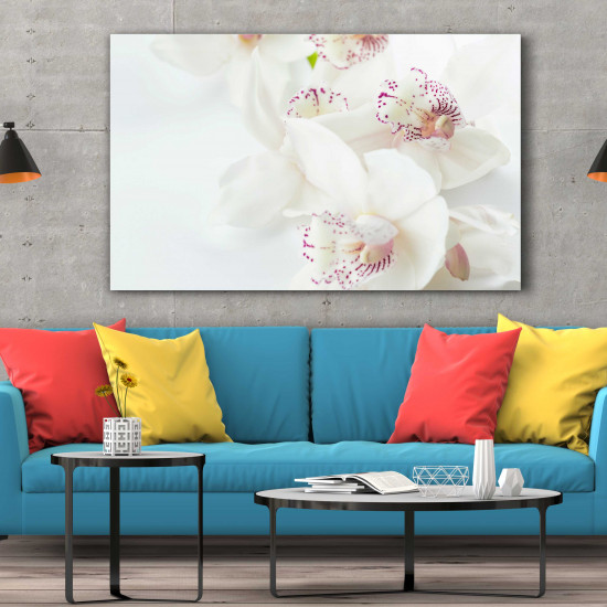 Tablou Canvas White Orchids with Purple