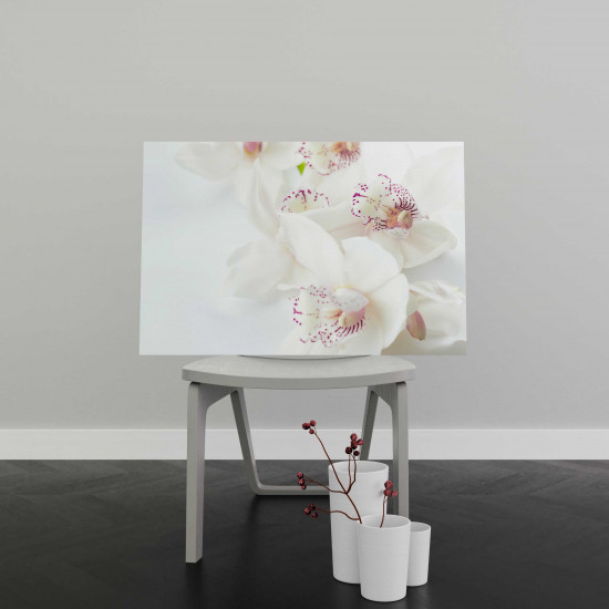 Tablou Canvas White Orchids with Purple